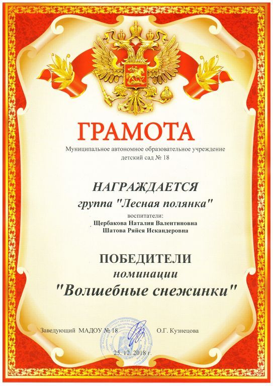 Волшебные снежинки.jpg