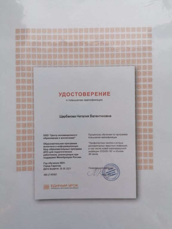 16450049014558624175889521261240.jpg